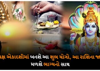 પિતૃ પક્ષ એકાદશીમાં બનશે આ શુભ યોગો, આ રાશિના જાતકોને મળશે ભાગ્યનો સાથ