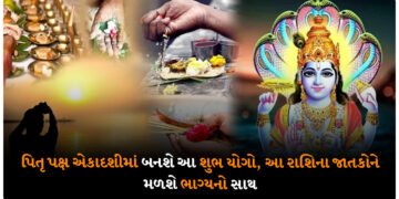 પિતૃ પક્ષ એકાદશીમાં બનશે આ શુભ યોગો, આ રાશિના જાતકોને મળશે ભાગ્યનો સાથ