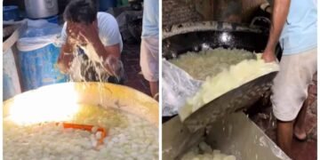 આગ્રામાં પેઠા બનાવતા મજૂરે કઢાઈમાં હાથ-મોઢું ધોતા જોઈને લોકો ગુસ્સે થઈ ગયા અને કહ્યું- માત્ર નહાવાનું બાકી છે.