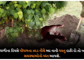 દિવાળીના દિવસે પીપળના ઝાડ નીચે આ નાની વસ્તુ દાટી દો તો બધી સમસ્યાઓનો અંત આવશે.