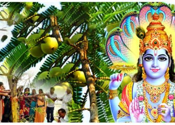 અમલા નવમી પર બની રહ્યો છે ખૂબ જ શુભ સંયોગ, ભગવાન વિષ્ણુની કૃપાથી આ 5 રાશિઓનું ભાગ્ય ચમકશે.