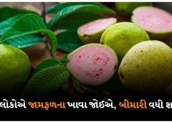 આ લોકોએ જામફળના ખાવા જોઈએ, બીમારી વધી શકે છે