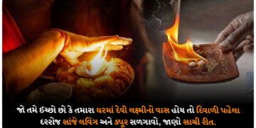 જો તમે ઈચ્છો છો કે તમારા ઘરમાં દેવી લક્ષ્મીનો વાસ હોય તો દિવાળી પહેલા દરરોજ સાંજે લવિંગ અને કપૂર સળગાવો, જાણો સાચી રીત.