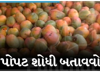 ‘શોધી તો બતાવો’ કેરીઓ વચ્ચે છુપાયેલો પોપટ, ૯૯% લોકો પોપટ ને શોધવામાં નિષ્ફળ ગયા!