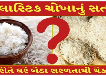 બજારમાં આડેધડ વેચાઈ રહ્યા છે નકલી ચોખા, પ્લાસ્ટિક ખાવીને ખાઈ રહ્યા છે લોકો, આ રીતે ઘરે બેઠા સરળતાથી ચેક કરો