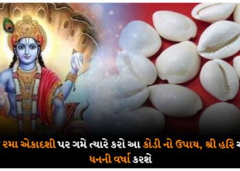 આજે રમા એકાદશી પર ગમે ત્યારે કરો આ કોડી નો ઉપાય, શ્રી હરિ અપાર ધનની વર્ષા કરશે