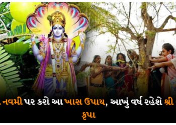 અક્ષય નવમી પર કરો આ ખાસ ઉપાય, આખું વર્ષ રહેશે શ્રી હરિની કૃપા
