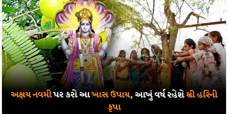 અક્ષય નવમી પર કરો આ ખાસ ઉપાય, આખું વર્ષ રહેશે શ્રી હરિની કૃપા