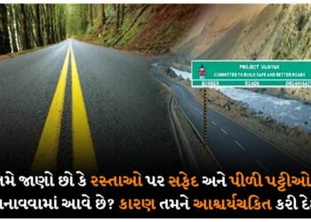 શું તમે જાણો છો કે રસ્તાઓ પર સફેદ અને પીળી પટ્ટીઓ કેમ બનાવવામાં આવે છે? કારણ તમને આશ્ચર્યચકિત કરી દેશે