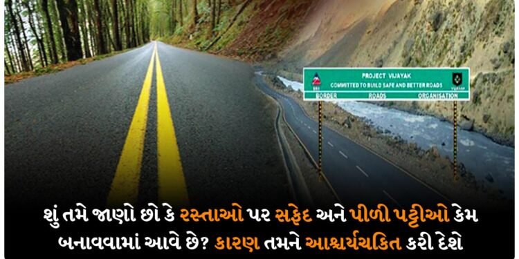 શું તમે જાણો છો કે રસ્તાઓ પર સફેદ અને પીળી પટ્ટીઓ કેમ બનાવવામાં આવે છે? કારણ તમને આશ્ચર્યચકિત કરી દેશે