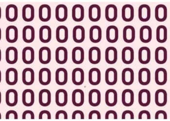 ‘O(ઓ)’ ની ભીડમાં ‘0(ઝીરો)’ શોધવાનો છે, માત્ર 9સેકન્ડમાં, ભલભલાઓએ હાર સ્વીકારી લીધી છે!