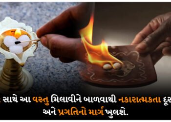કપૂર સાથે આ વસ્તુ મિલાવીને બાળવાથી નકારાત્મકતા દૂર થશે અને પ્રગતિનો માર્ગ ખુલશે.