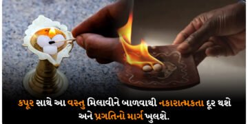 કપૂર સાથે આ વસ્તુ મિલાવીને બાળવાથી નકારાત્મકતા દૂર થશે અને પ્રગતિનો માર્ગ ખુલશે.